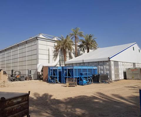 E-visa celebratory show in Saudi Arabia