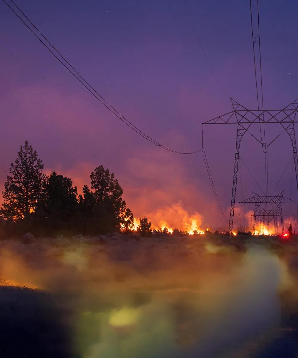 A wildfire burns in the distance against a twilight sky, with power lines and trees silhouetted in the foreground.