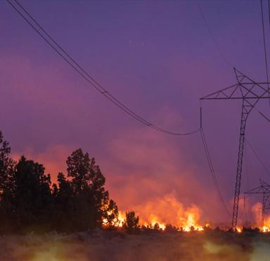 A wildfire burns in the distance against a twilight sky, with power lines and trees silhouetted in the foreground.
