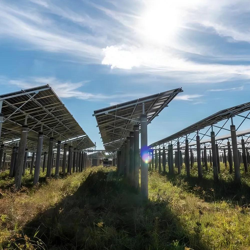 Ground view of multiple rows of solar panels under a blue sky.