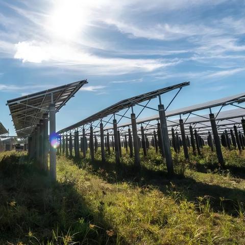 Ground view of multiple rows of solar panels under a blue sky.