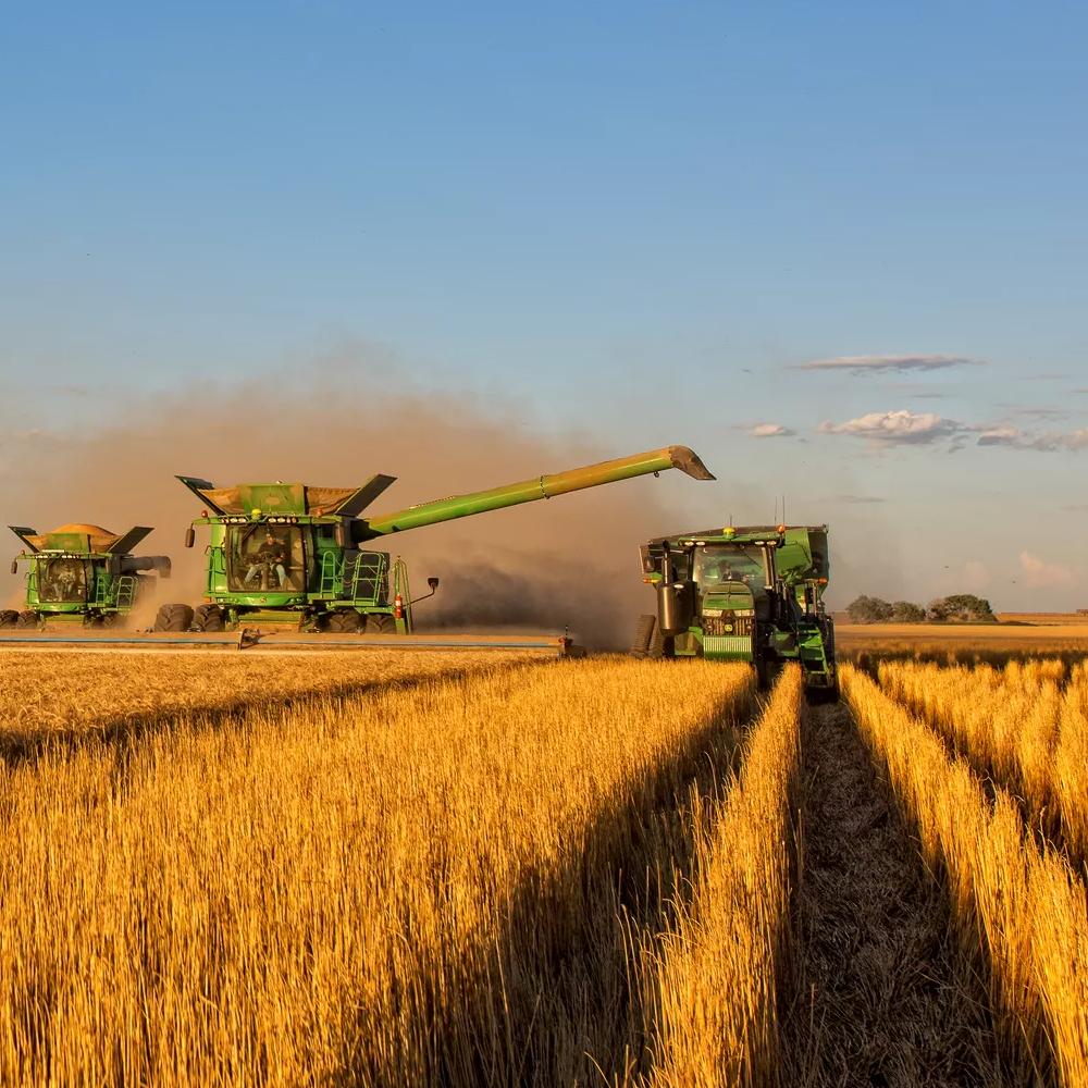 A large green combine harvester is in a field of wheat, creating a path through the grain.