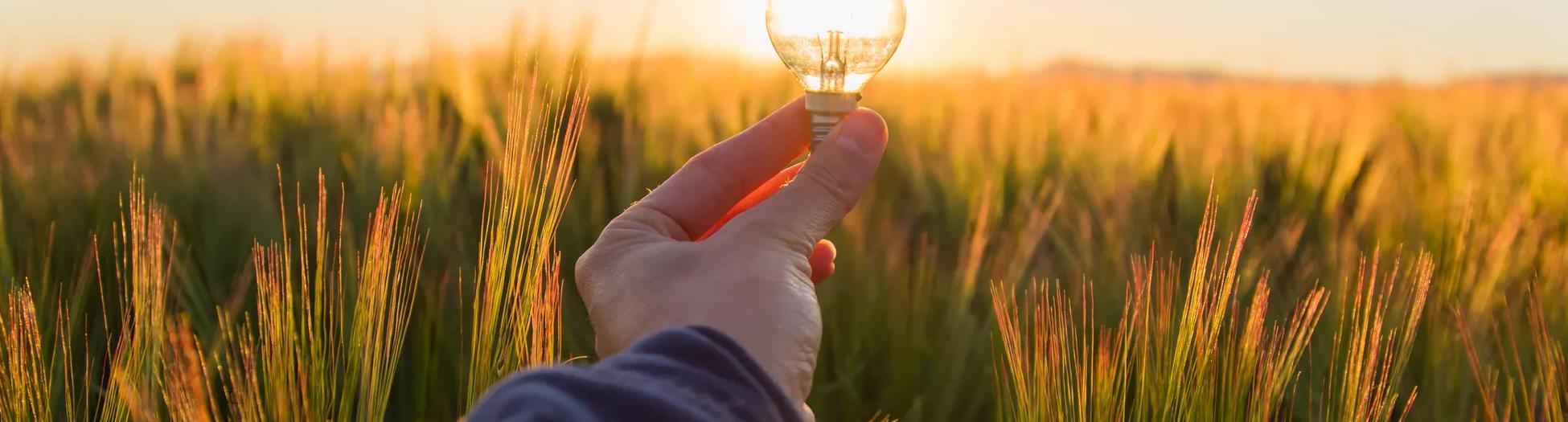 images from Innovation playbook  customer facing digital guide