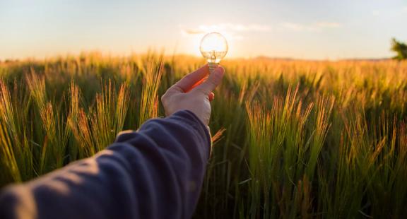 images from Innovation playbook  customer facing digital guide