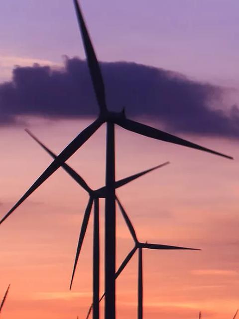 Ground view of wind turbine silhouettes against a pink sunset