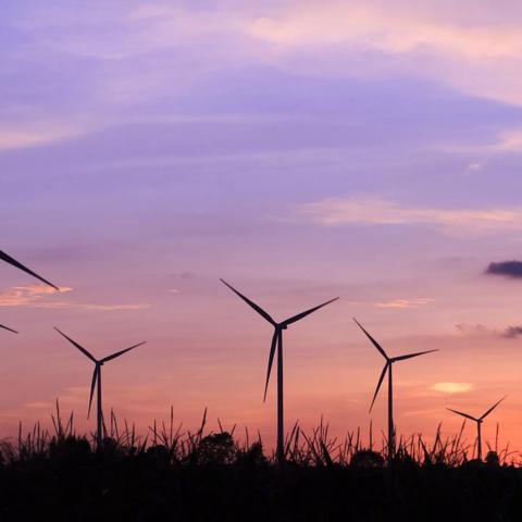 Wind turbines in field at twilight