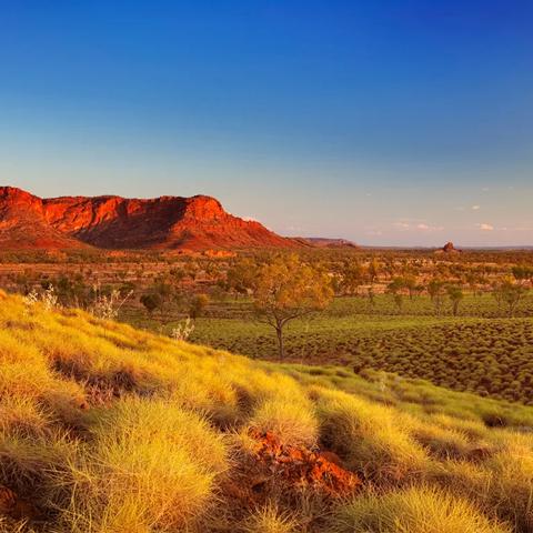 A field of grass and a large reddish, rocky mountain in the background under a clear blue sky.