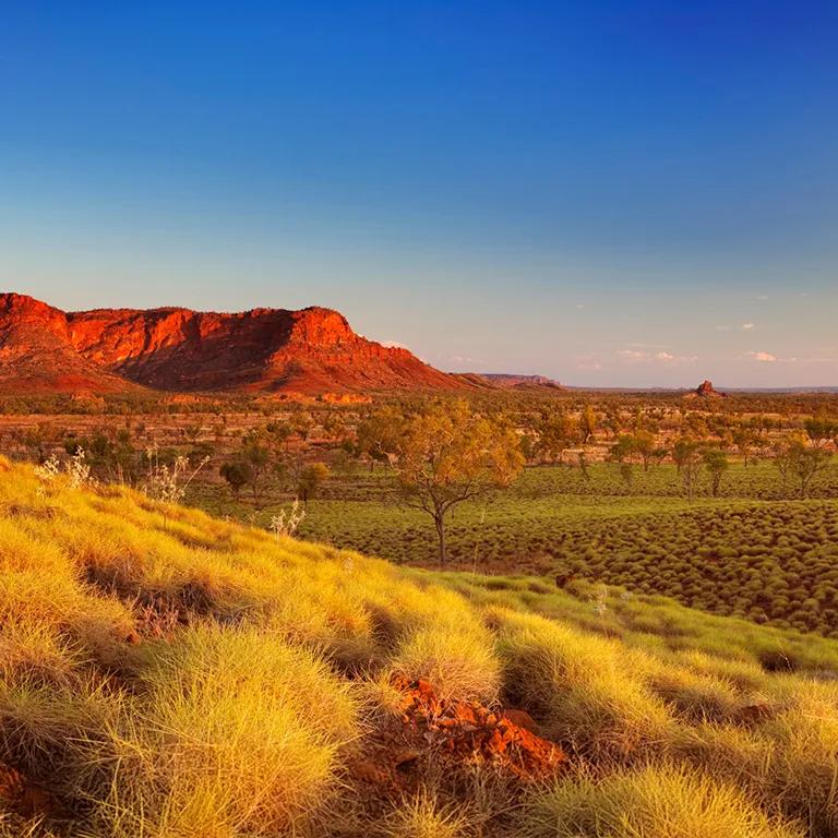 A field of grass and a large reddish, rocky mountain in the background under a clear blue sky.
