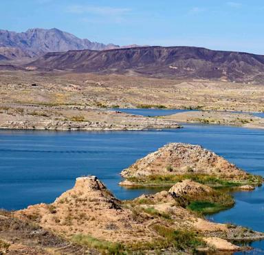 10 ways plants may be wasting water and money