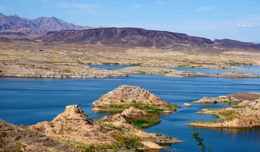 10 ways plants may be wasting water and money