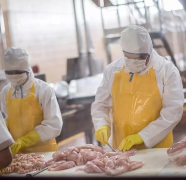 The ultimate food and beverage resource guide for 2022