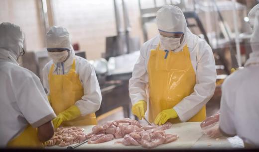 Group of workers working at a chicken factory - food processing plant concepts