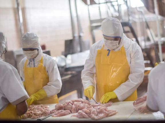 Group of workers working at a chicken factory - food processing plant concepts