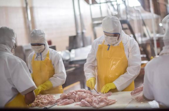Group of workers working at a chicken factory - food processing plant concepts