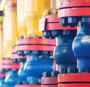 Powering a new plant during extensive delays