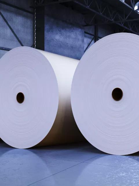 Gros plan, vue basse, montrant une rangée de rouleaux massifs et continus de papier blanc, alignés sur un sol d’usine poli. 