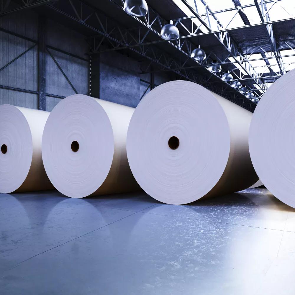 A close-up, low-angle view showing a row of massive, continuous rolls of white paper, lined up on a polished factory floor.