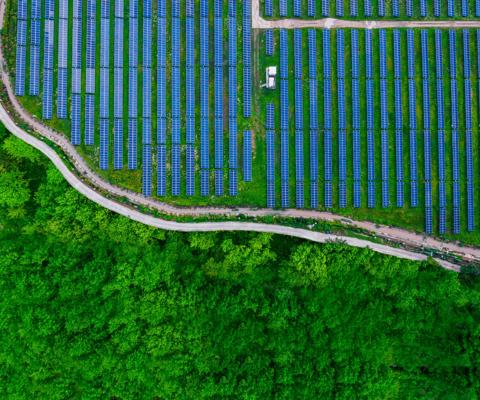 winding road in the forest,aerial view from above