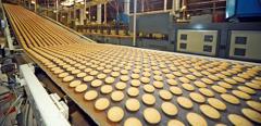 Cookies.Production line