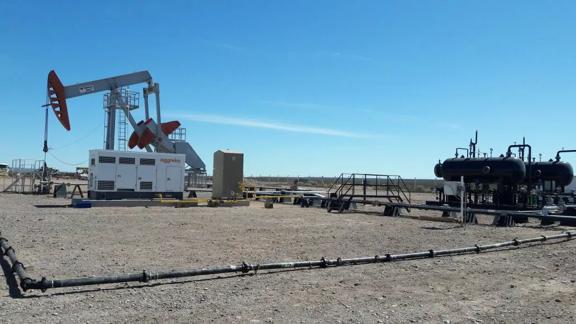 Shell-2