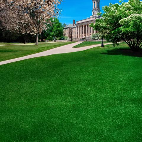 Pathway to a college campus building under bright skies