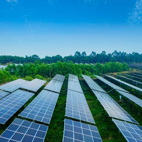 Aerial view of multiple rows of solar panels surrounded by trees.