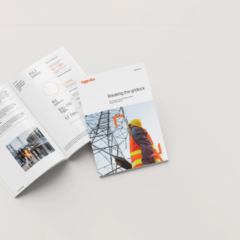Website hero - Breaking the gridlock report EN