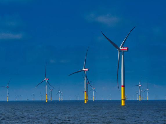 Offshore-Windpark in der Ostsee