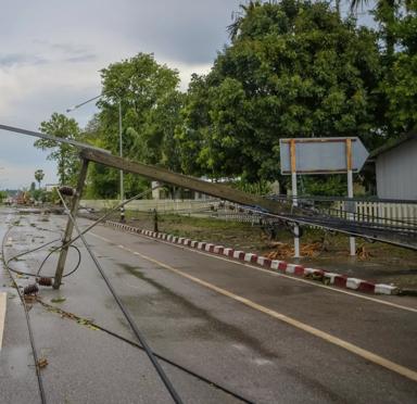 Downed power lines and a broken pole block a deserted road, surrounded by debris and overhanging trees under a cloudy sky.