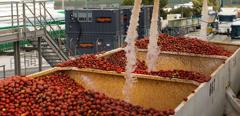 2017-02-spain-seville-tomato-factory-manufacturing-gas.jpg