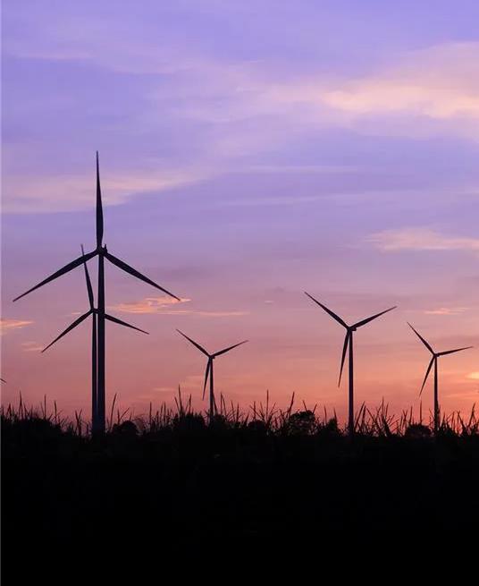 Ground view of wind turbine silhouettes against a pink sunset.  