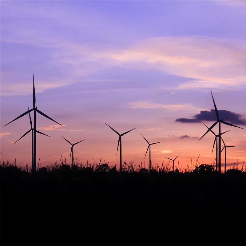 Ground view of wind turbine silhouettes against a pink sunset.  