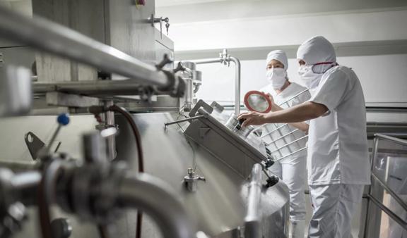 Couple of people working at a dairy factory pasteurizing the milk - food proccessing concepts