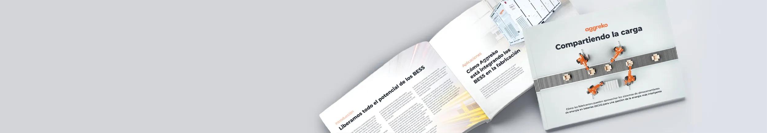 BESS guide, sharing the load, website assets