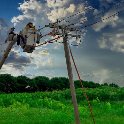 Ground view of a worker in uniform checking a power line.  