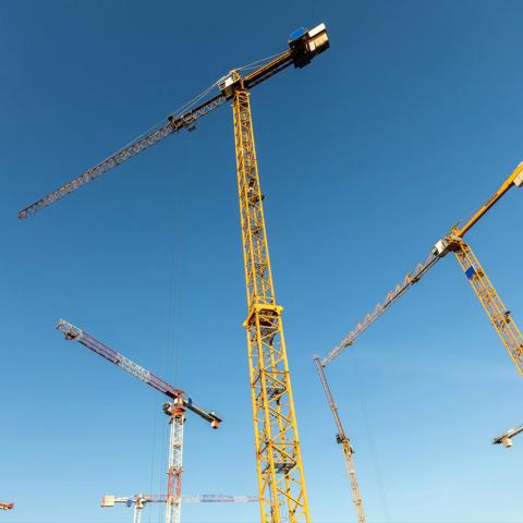 Many large cranes at a large construction site