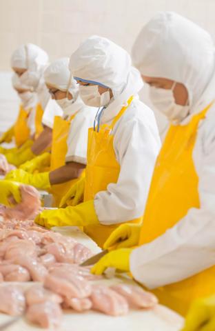 Group of people working at a chicken factory doing quality control