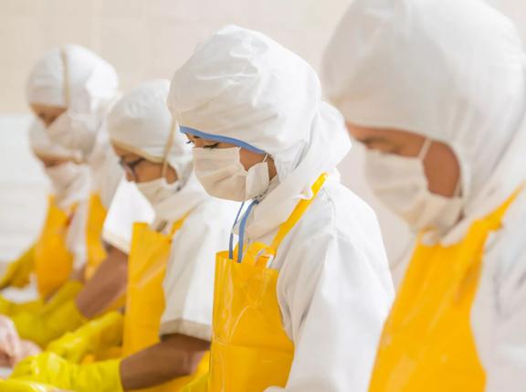 Group of people working at a chicken factory doing quality control