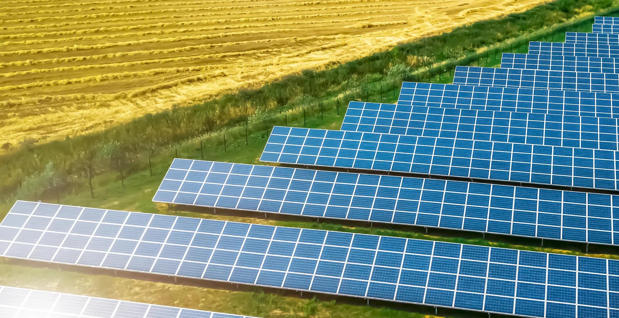 Aerial view of a large row of solar panels in a grassy field.