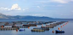 2010Jun-greece-island-sea-fish-farm-plant-agriculture
