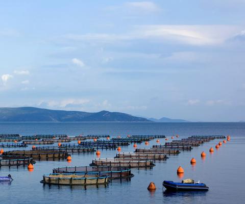 Aquaculture power and temperature control solutions