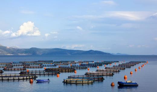 2010Jun-greece-island-sea-fish-farm-plant-agriculture