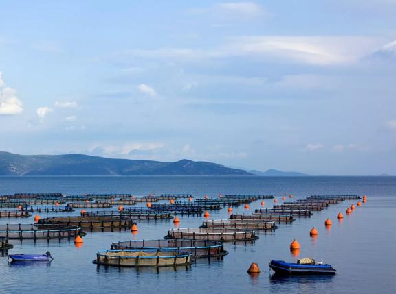 2010Jun-greece-island-sea-fish-farm-plant-agriculture