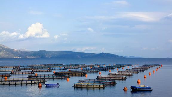 View of a fish farm near the bay
