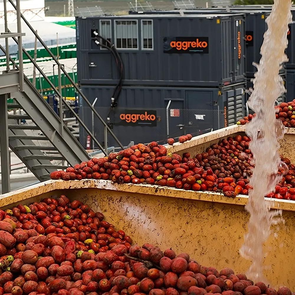 Three yellow containers filled with red fruit being sprayed water