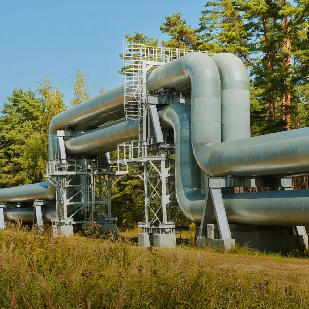 A cooling pipeline on the side of the road and next to trees