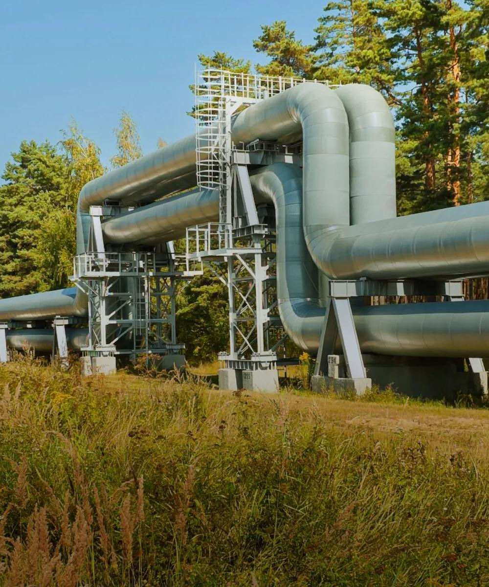 A cooling pipeline on the side of the road and next to trees
