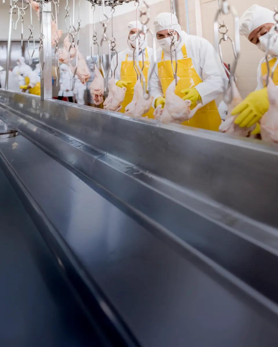 Food processing workers wearing protective clothing and hairnets in a production facility.