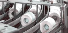 Paper plant, paper tissue rolls on conveyor line.