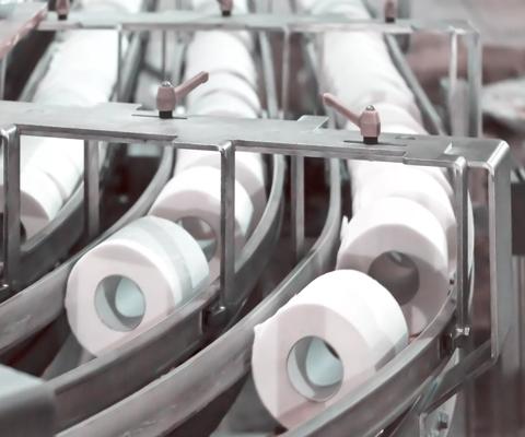 Paper plant, paper tissue rolls on conveyor line.